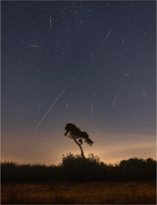 perseids